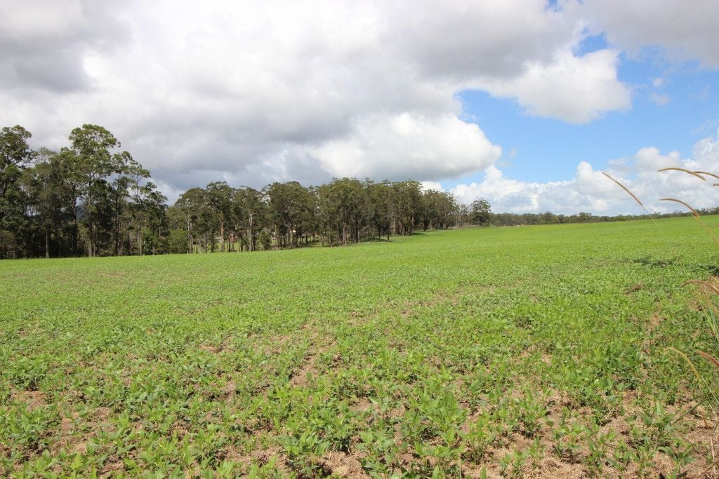 , WAUCHOPE NSW 2446