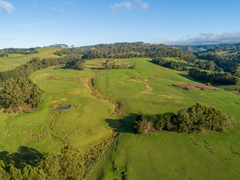 313 Barham River Road, Apollo Bay, VIC, Apollo Bay - Thumbnail 2