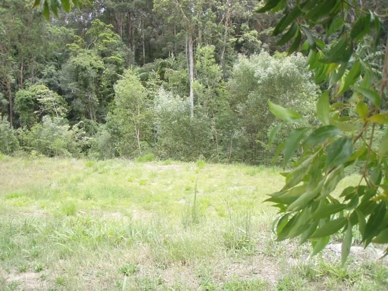 71 Martins Road BUDERIM QLD, Buderim - Thumbnail 3