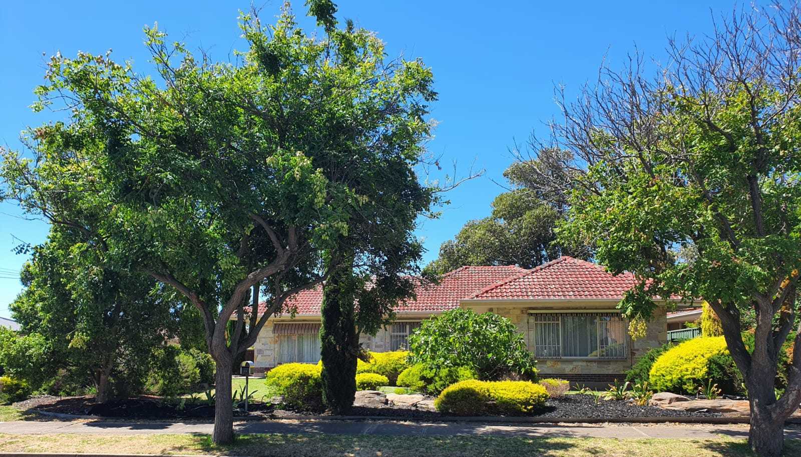 13  Louise Avenue Fulham 5024