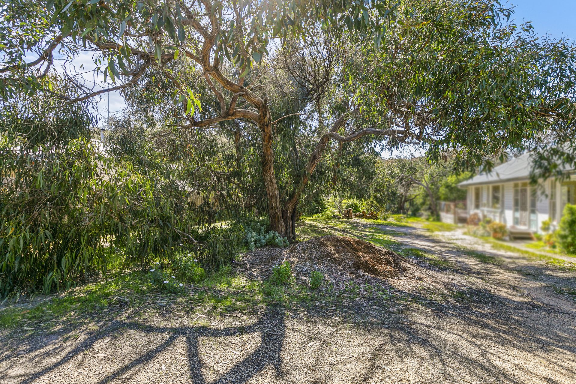 15 Eagle Avenue, Anglesea - Thumbnail 3