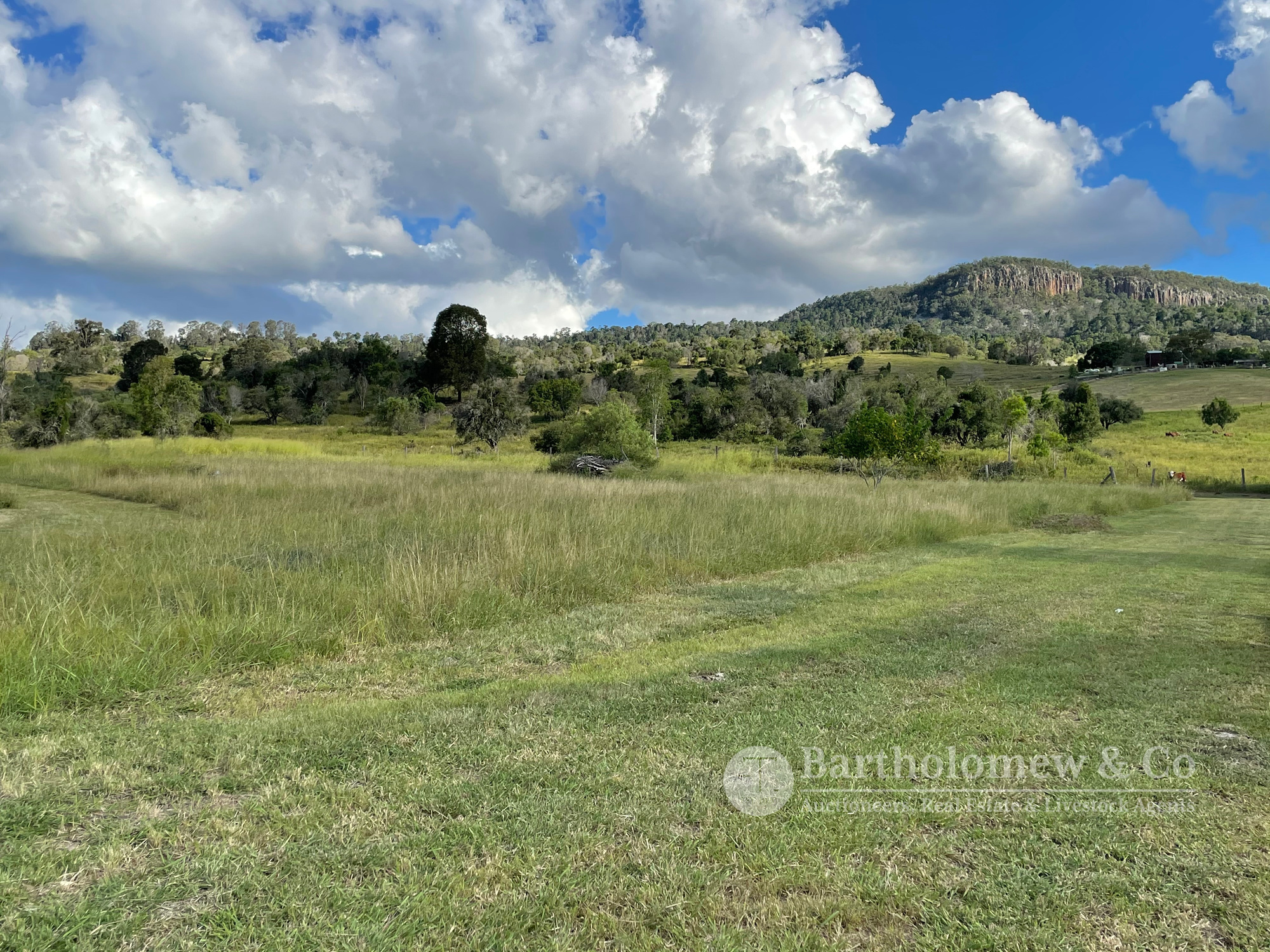 Real Estate For Sale 19 Peck Road Fassifern Valley , QLD
