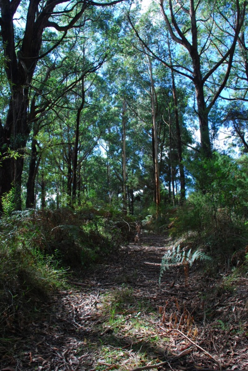 318 Old Ocean Road Glenaire VIC, Glenaire - Thumbnail 4