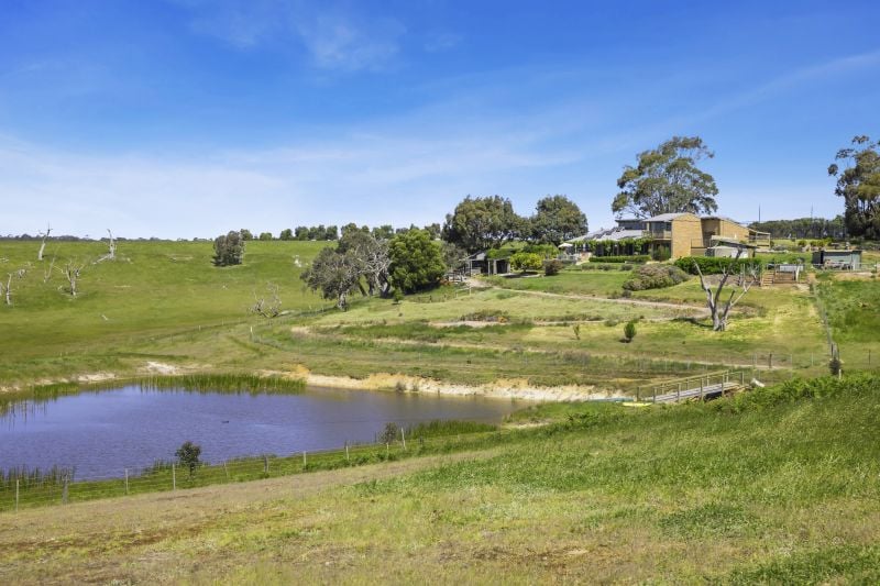 220 Elkington Road, Bellbrae, VIC, Bellbrae - Thumbnail 4