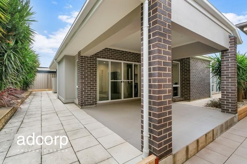 28 Rapid Avenue Lightsview SA, Lightsview - Thumbnail 7