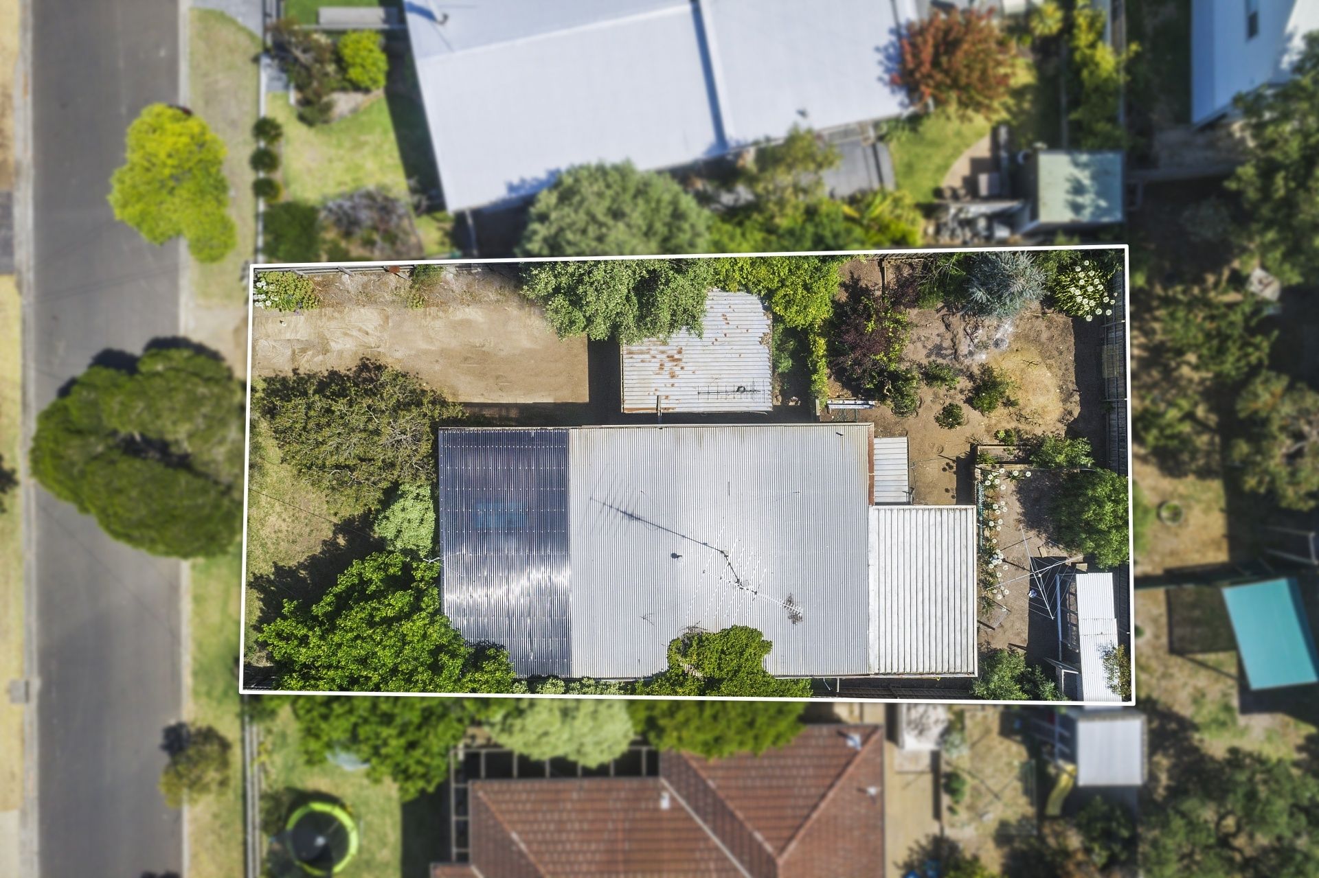 23 Cuthbertson Drive Ocean Grove VIC, Ocean Grove - Thumbnail 6