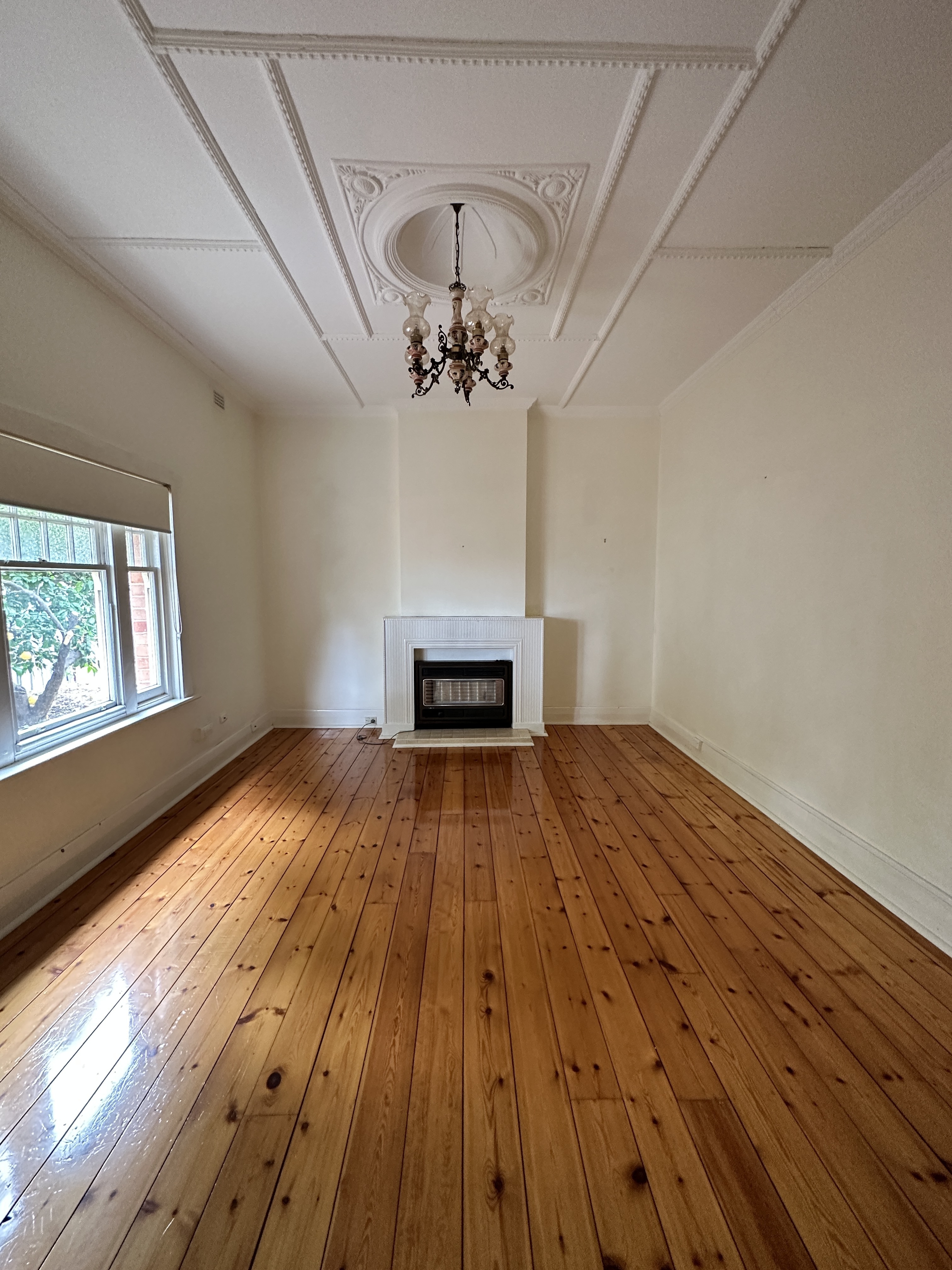 539 South Road  Ashford 5035