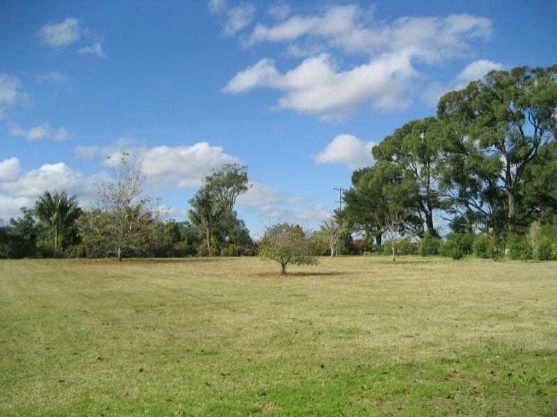 4 Cobah Road, Arcadia - Thumbnail 4