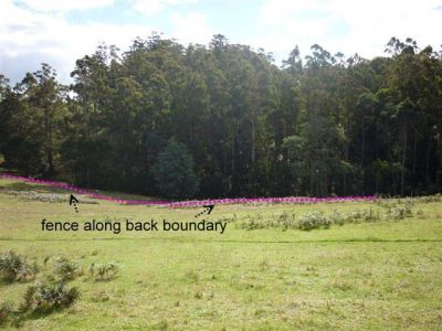 19 Roope Road, LOWER BARRINGTON, Lower Barrington - Thumbnail 3