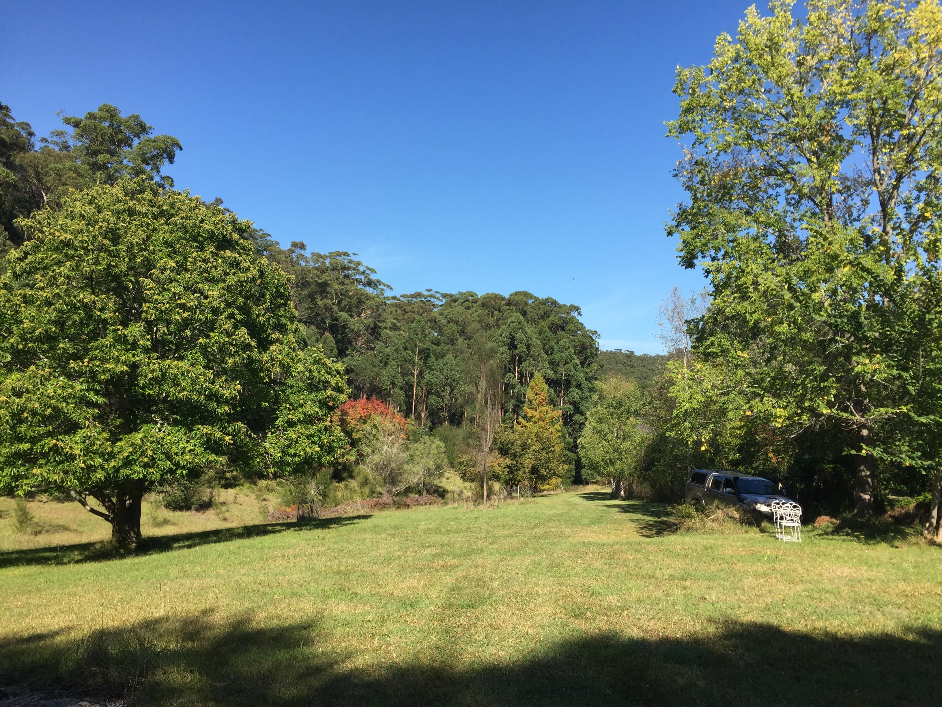 1022 Combienbar Road, CLUB TERRACE, VIC, 3889 Acreage/SemiRural