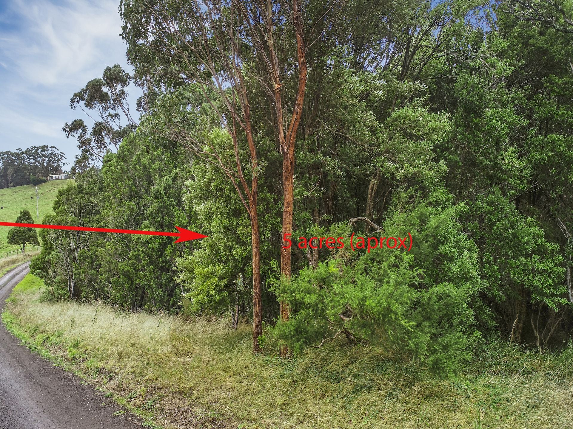 62 Broughtons Access, Skenes Creek North - Thumbnail 2
