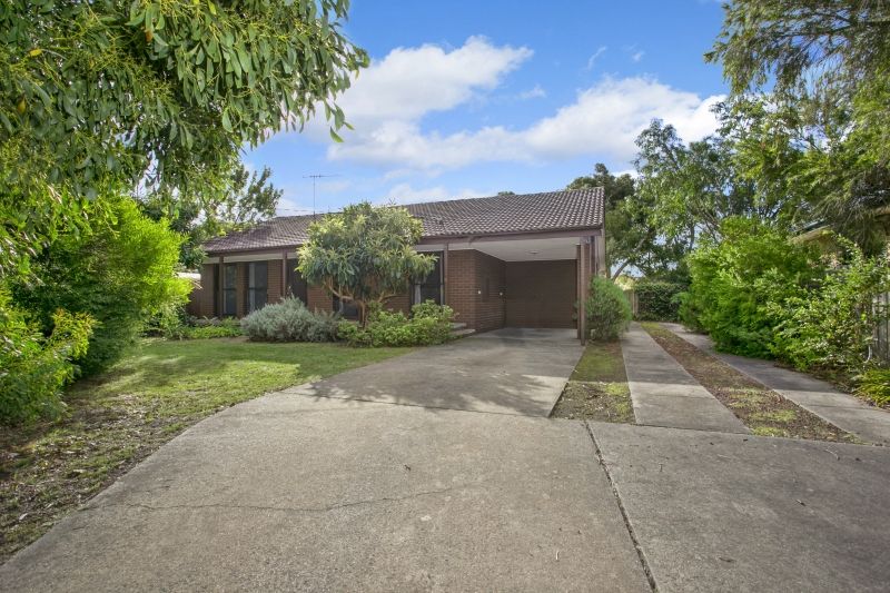 Real Estate For Sale 129 Asbury Street Ocean Grove , VIC