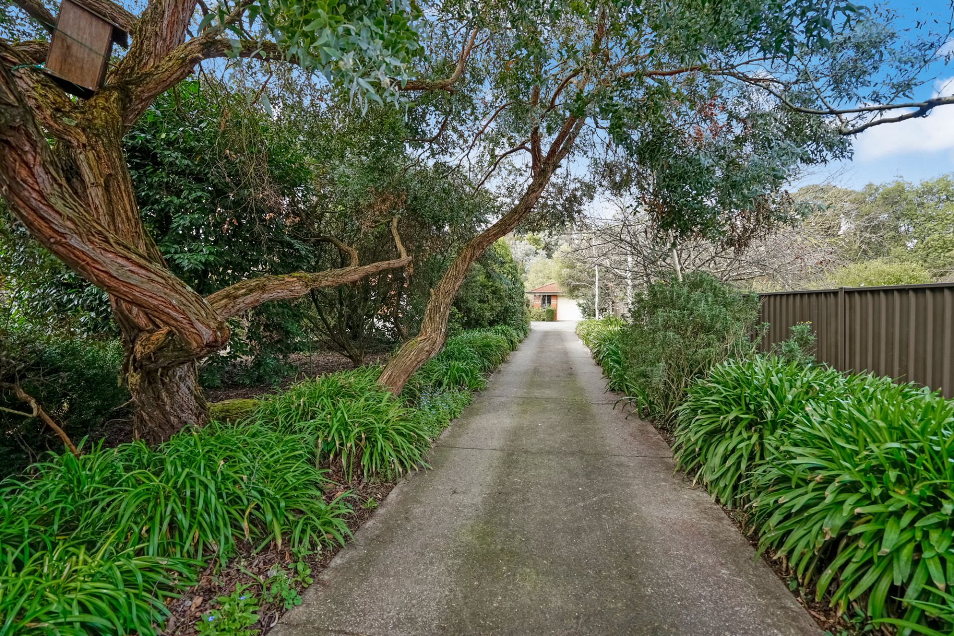 50 Fairway Court, Invermay Park, Invermay Park - Thumbnail 5