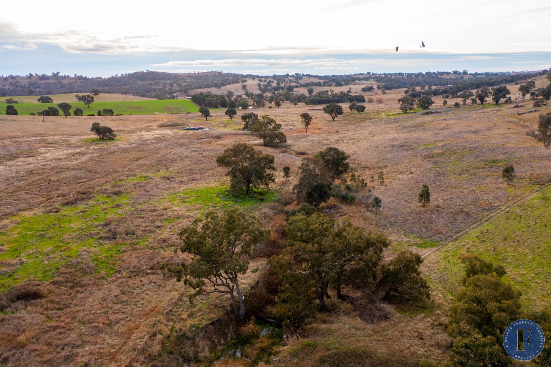 LOT 74 Frogmore Road, Frogmore NSW, Frogmore - Thumbnail 6