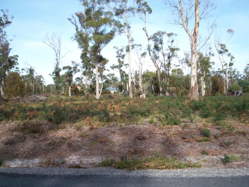 PORT SORELL, PORT SORELL, Port Sorell - Thumbnail 8