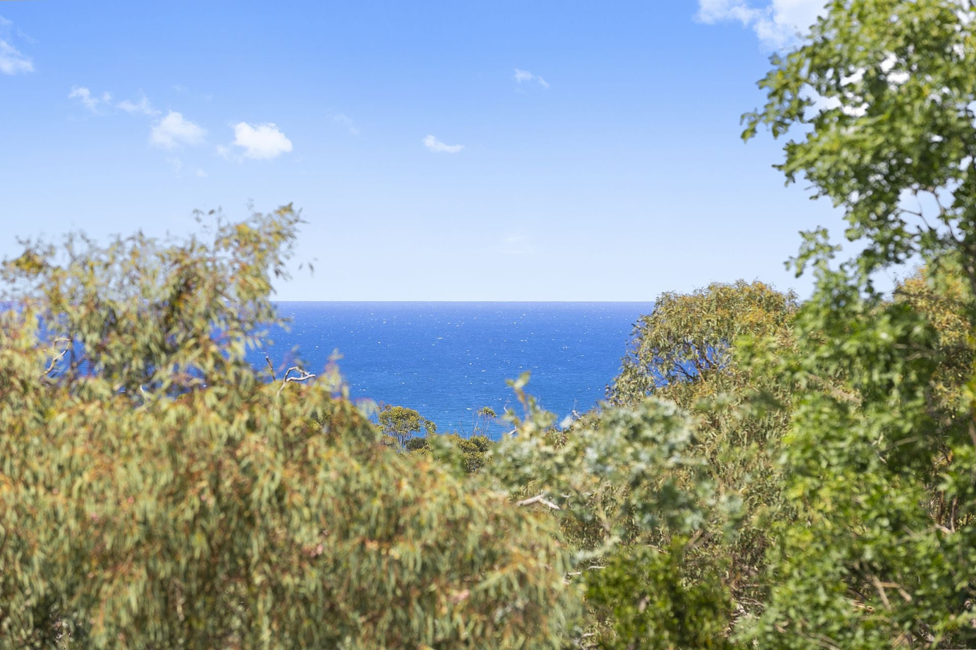 10 Third Avenue, Anglesea - Thumbnail 4
