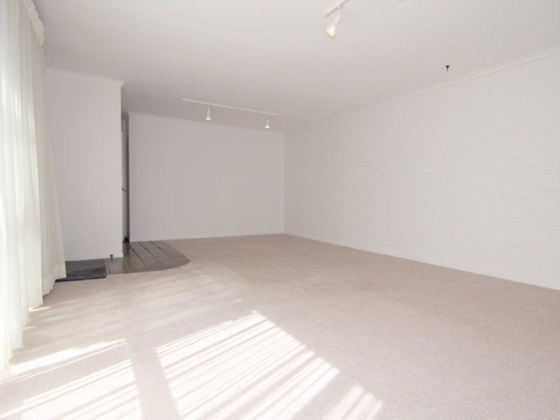 12/9 Tristania Street, Rivett - Thumbnail 7