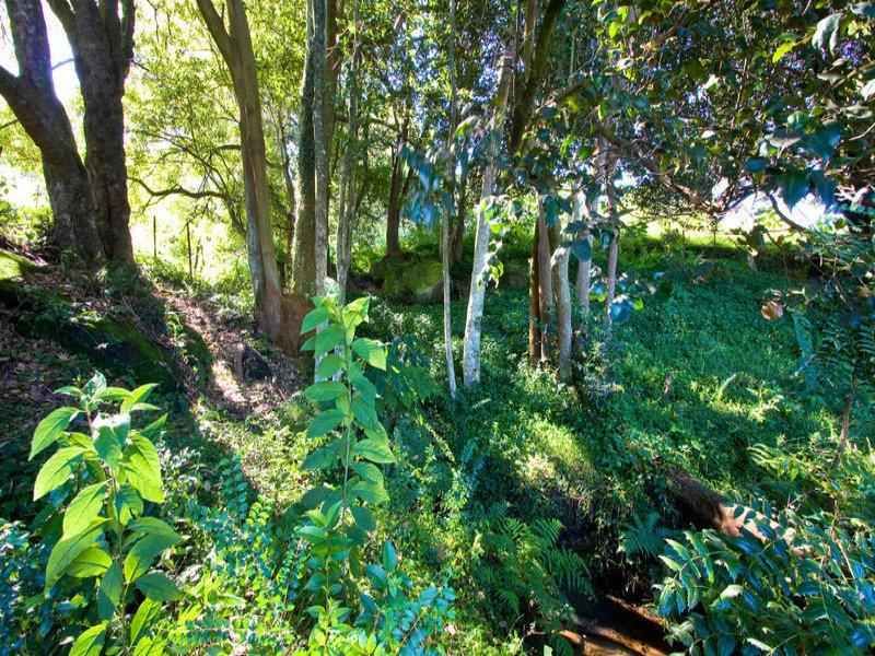 1350 Bells Line Of Road, Kurrajong Heights - Thumbnail 7