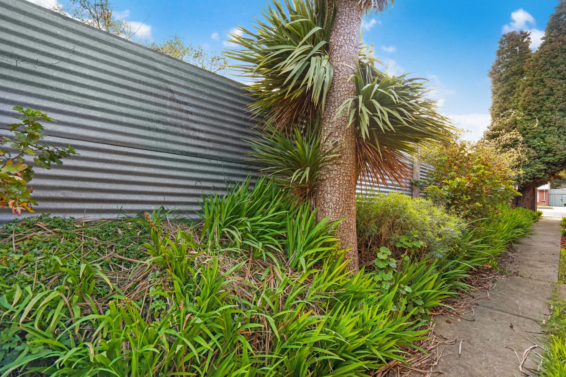 4/633 Bond Street, Golden Point, Golden Point - Thumbnail 2