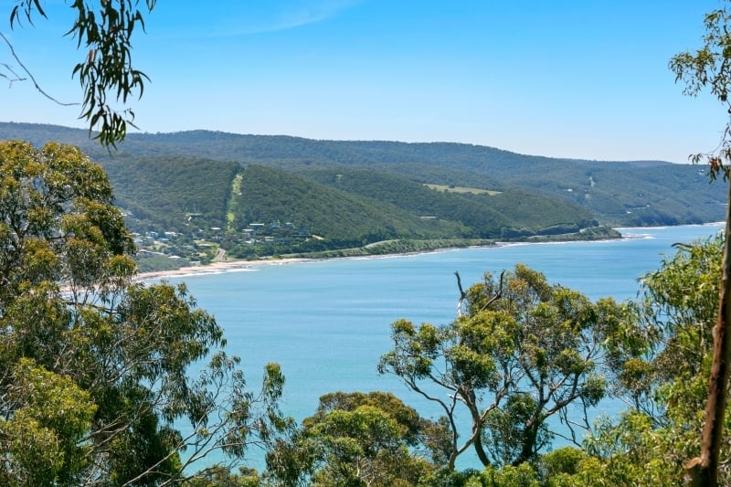 22 Alsop Street, Lorne, VIC, Lorne - Thumbnail 7