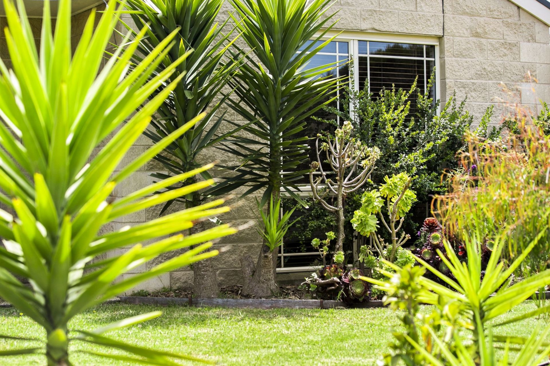 1 Ashcombe Lane Ocean Grove VIC, Ocean Grove - Thumbnail 6