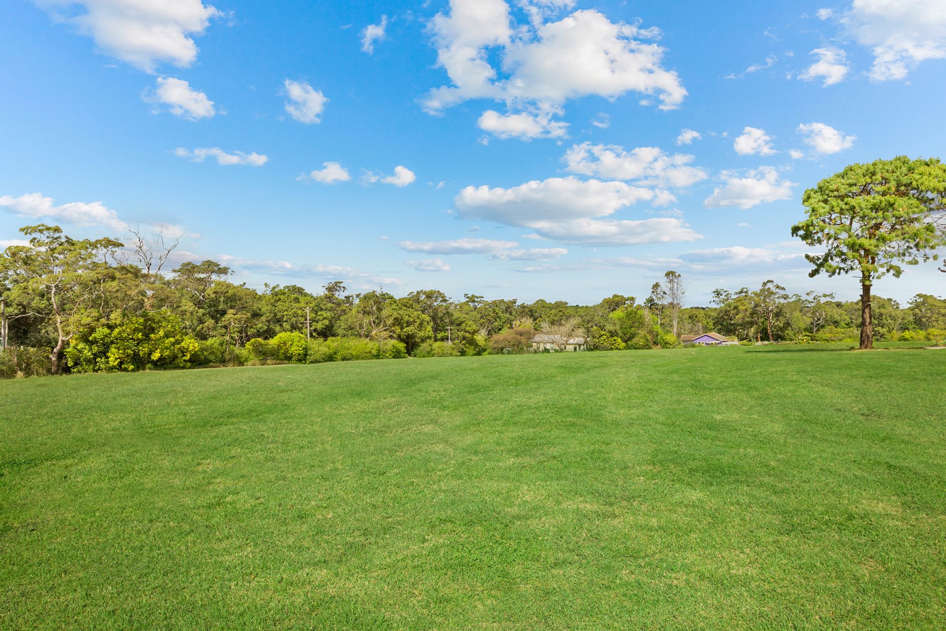1 Cobah Road Arcadia NSW, Arcadia - Thumbnail 8