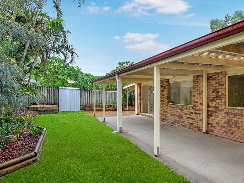 5 Lyon Place Sippy Downs QLD, Sippy Downs - Thumbnail 7