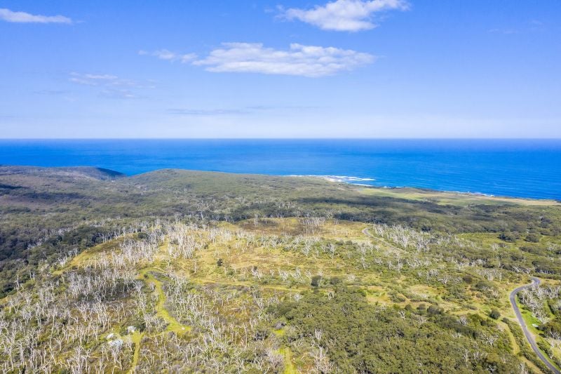 1010 Lighthouse Road, Cape Otway, VIC, Cape Otway - Thumbnail 5