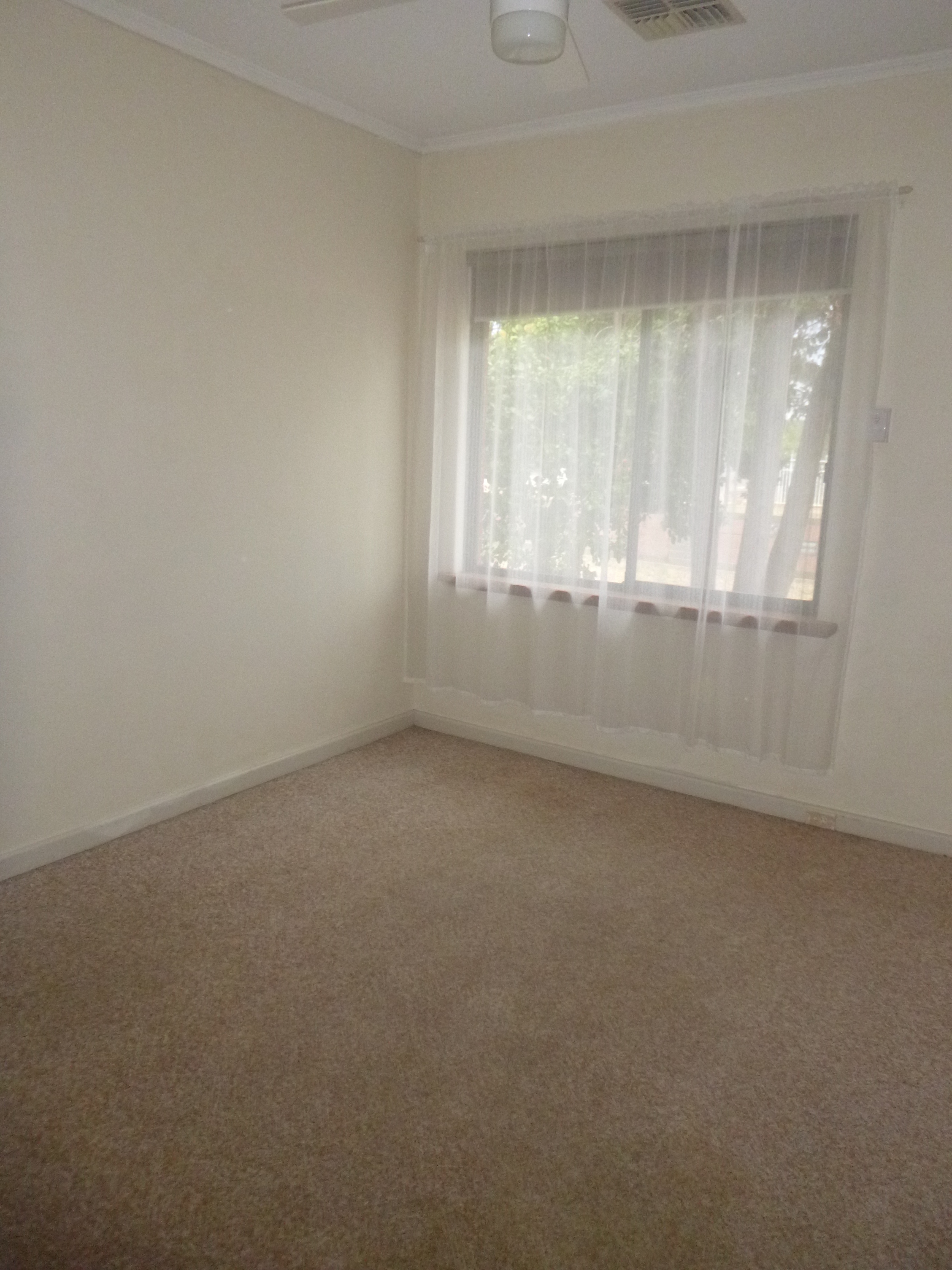 13 Buccleuch Avenue Findon 5023