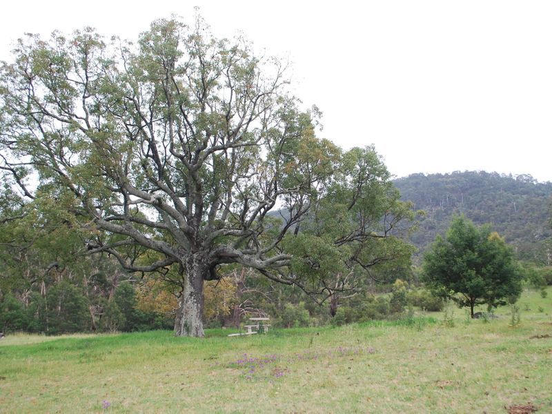 25 New Buildings Road, New Buildings