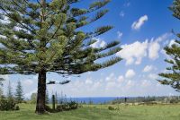 47 Collins Head Road Norfolk Island NSW, Norfolk Island - Thumbnail 6