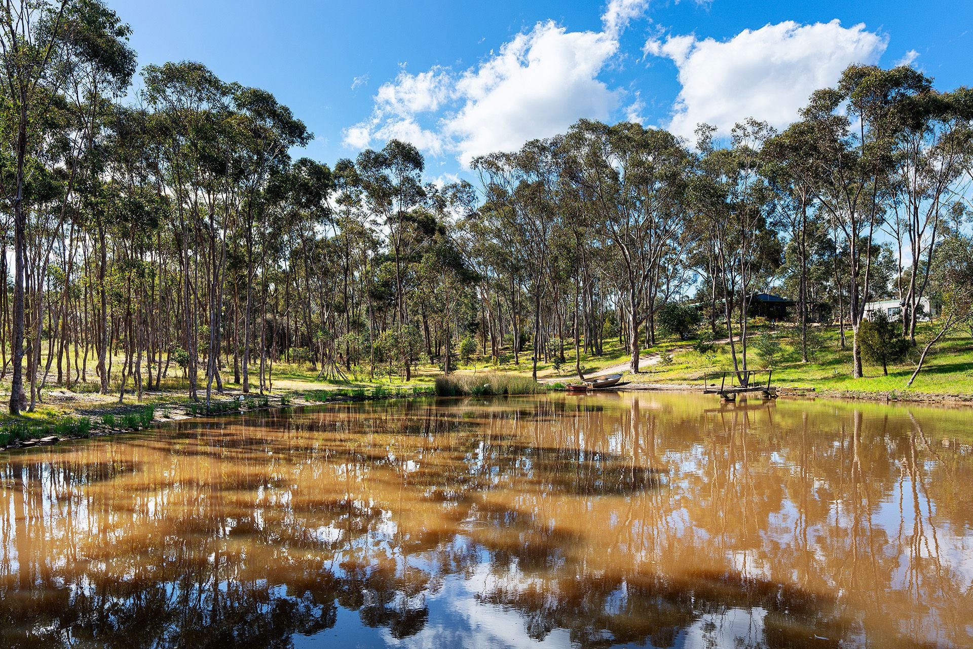 60 Lyndham Road Muckleford, Muckleford - Thumbnail 4