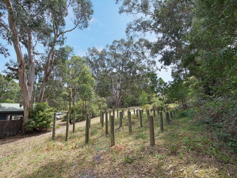 36 Old Coach Road, Skenes Creek, VIC, Skenes Creek - Thumbnail 6