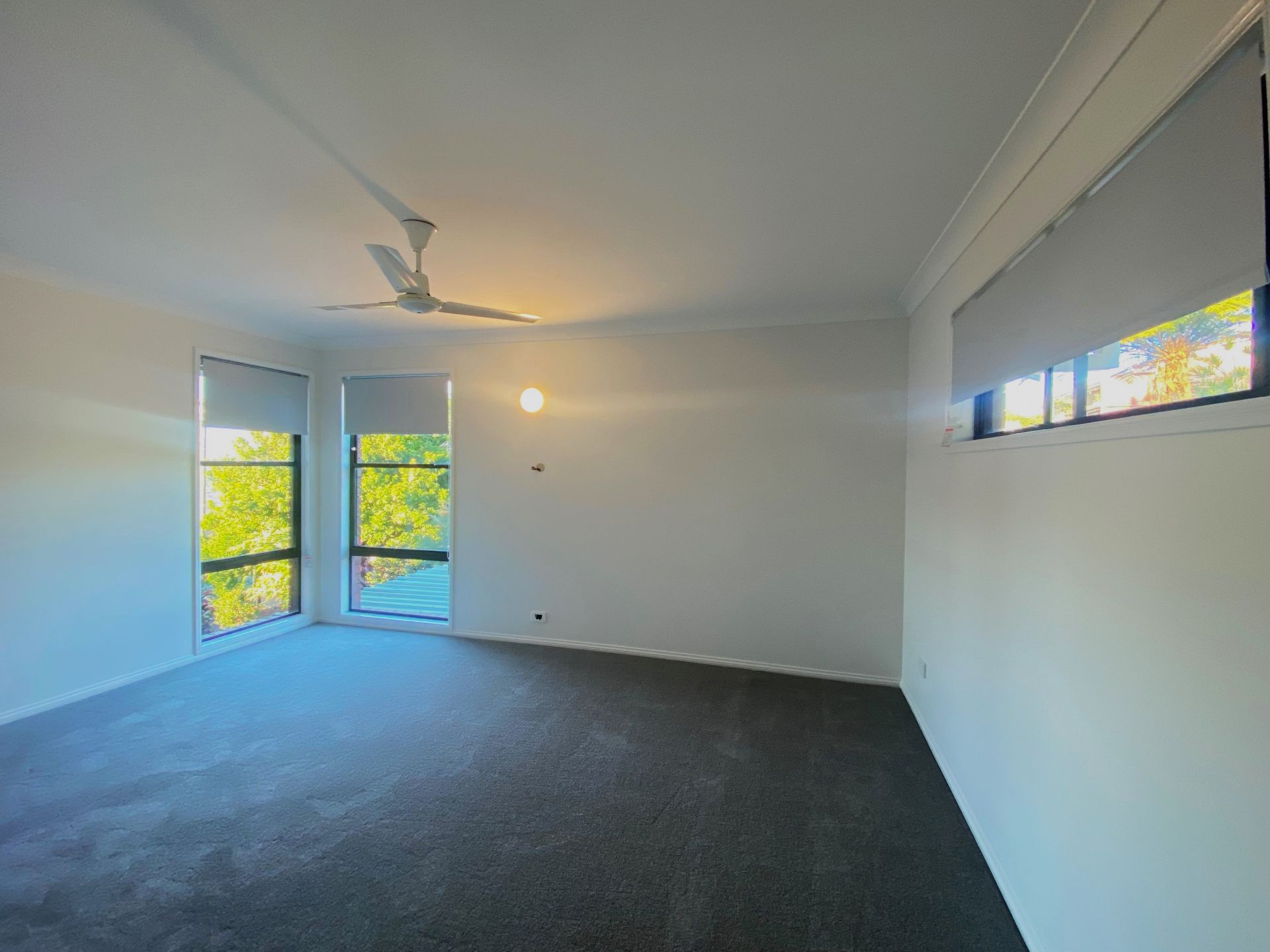 11 Monomeeth Avenue Bilambil Heights NSW, 11 Monomeeth Avenue Bilambil Heights - Thumbnail 8