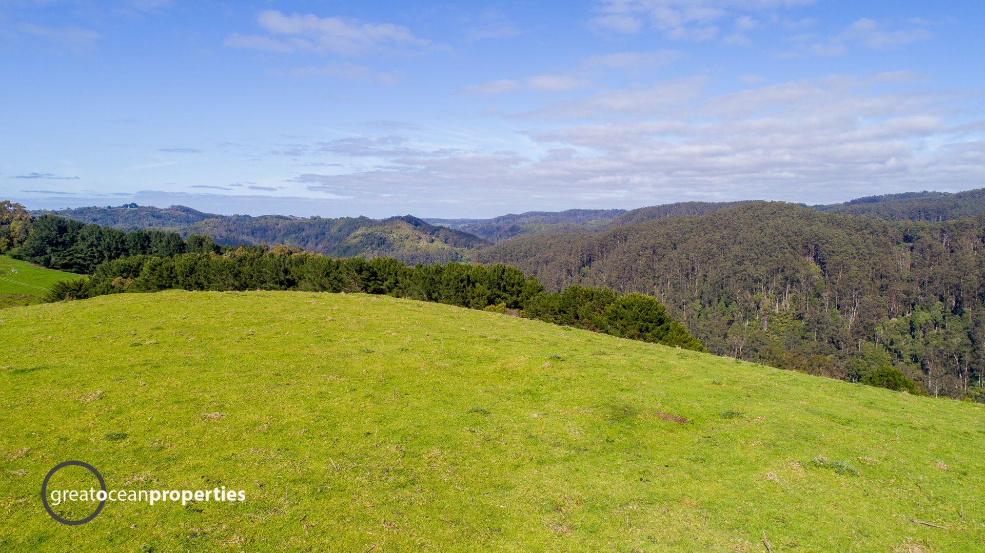 788 Wild Dog Road, Apollo Bay - Thumbnail 4