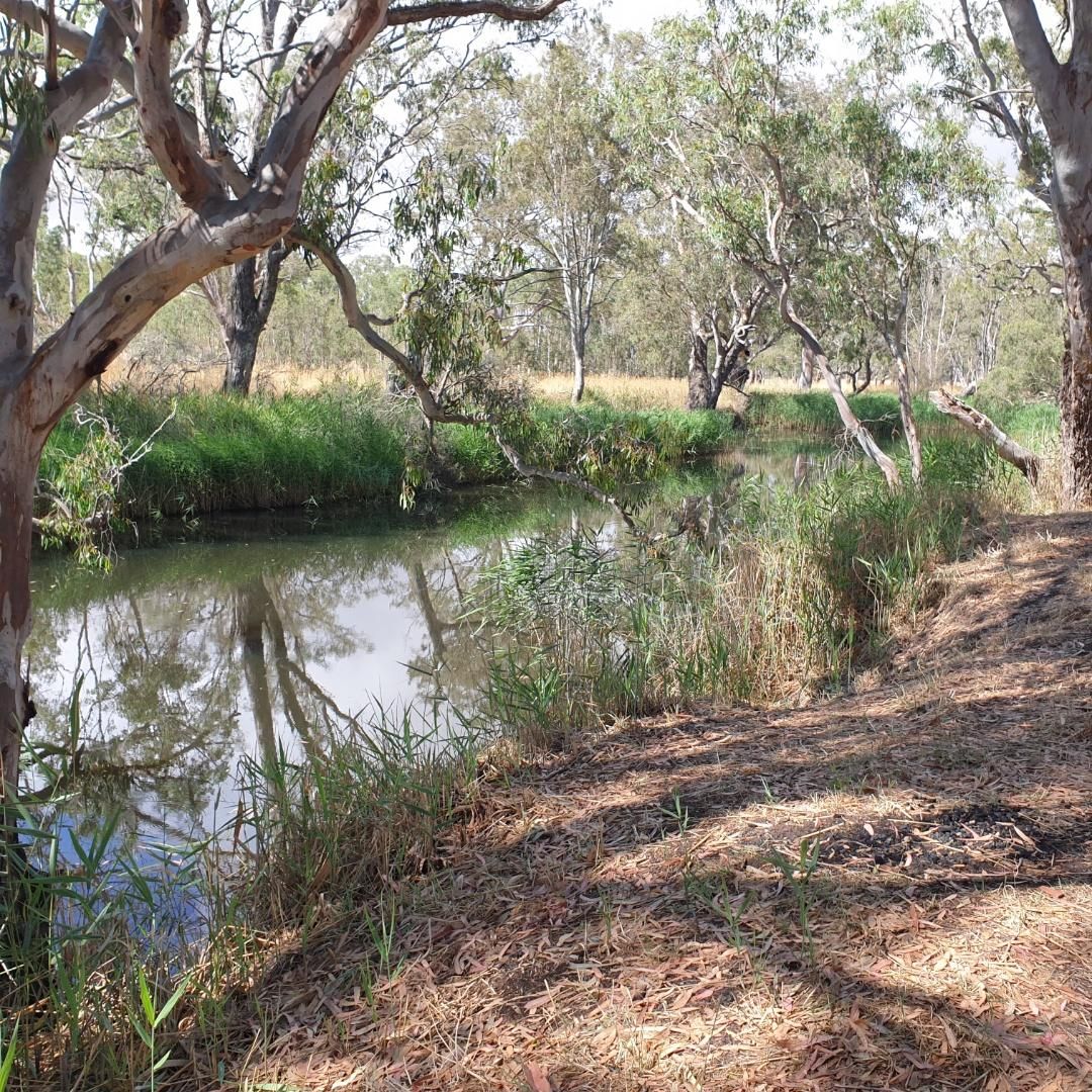 Lot 20/ Harrow-Casterton Road, Harrow VIC 3317