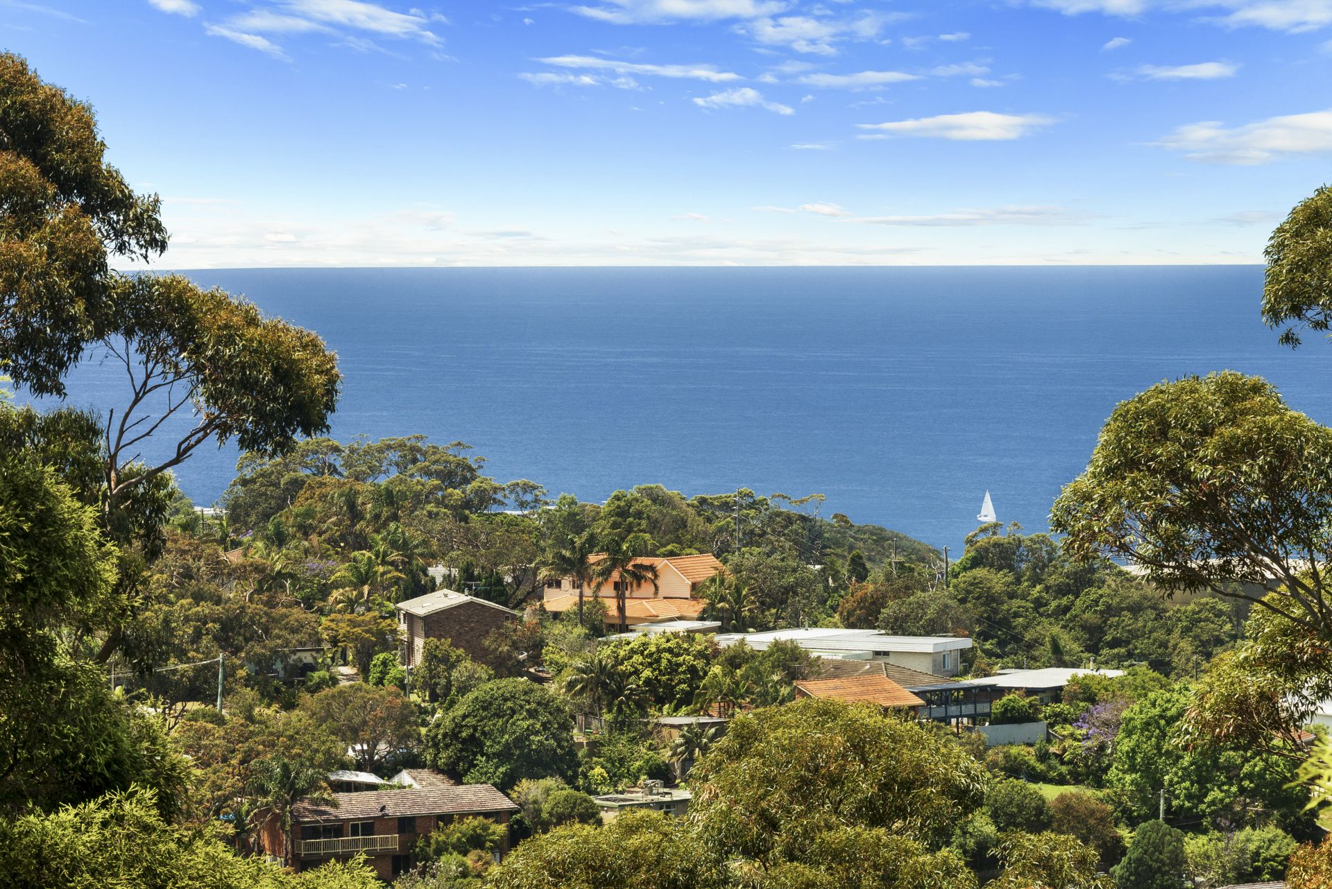 23 York Terrace Bilgola NSW, Bilgola - Thumbnail 6