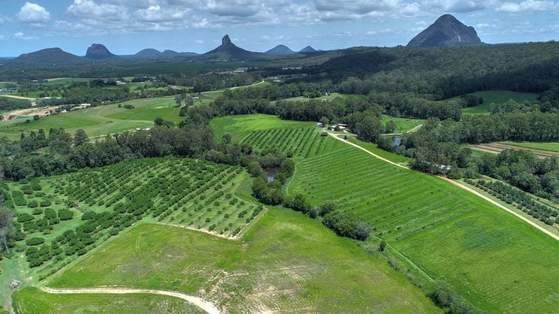 120 Stirling Road Beerwah QLD, Beerwah - Thumbnail 4