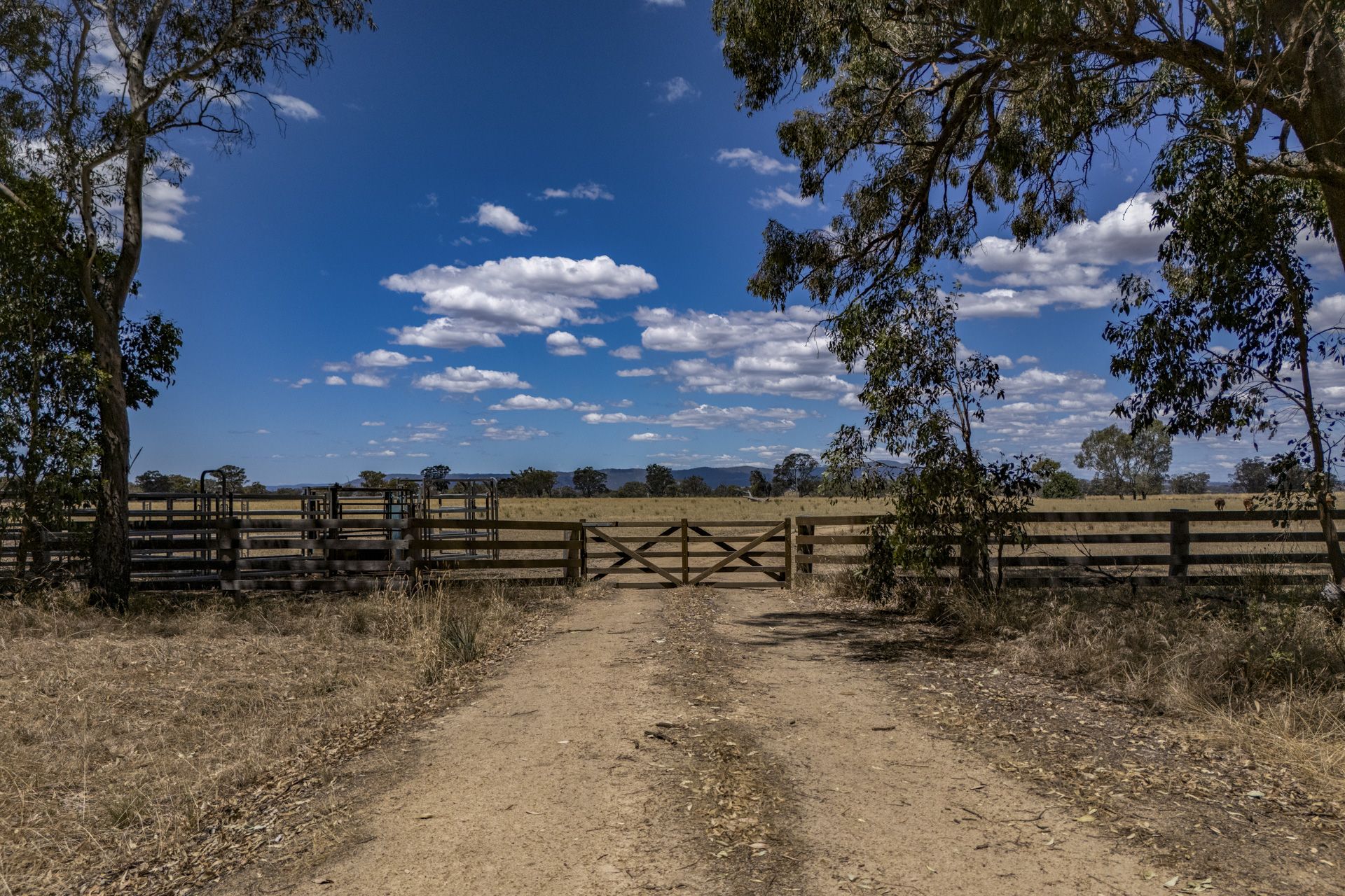 Create Your Rural Escape! 100 acres of land to build your dream home.