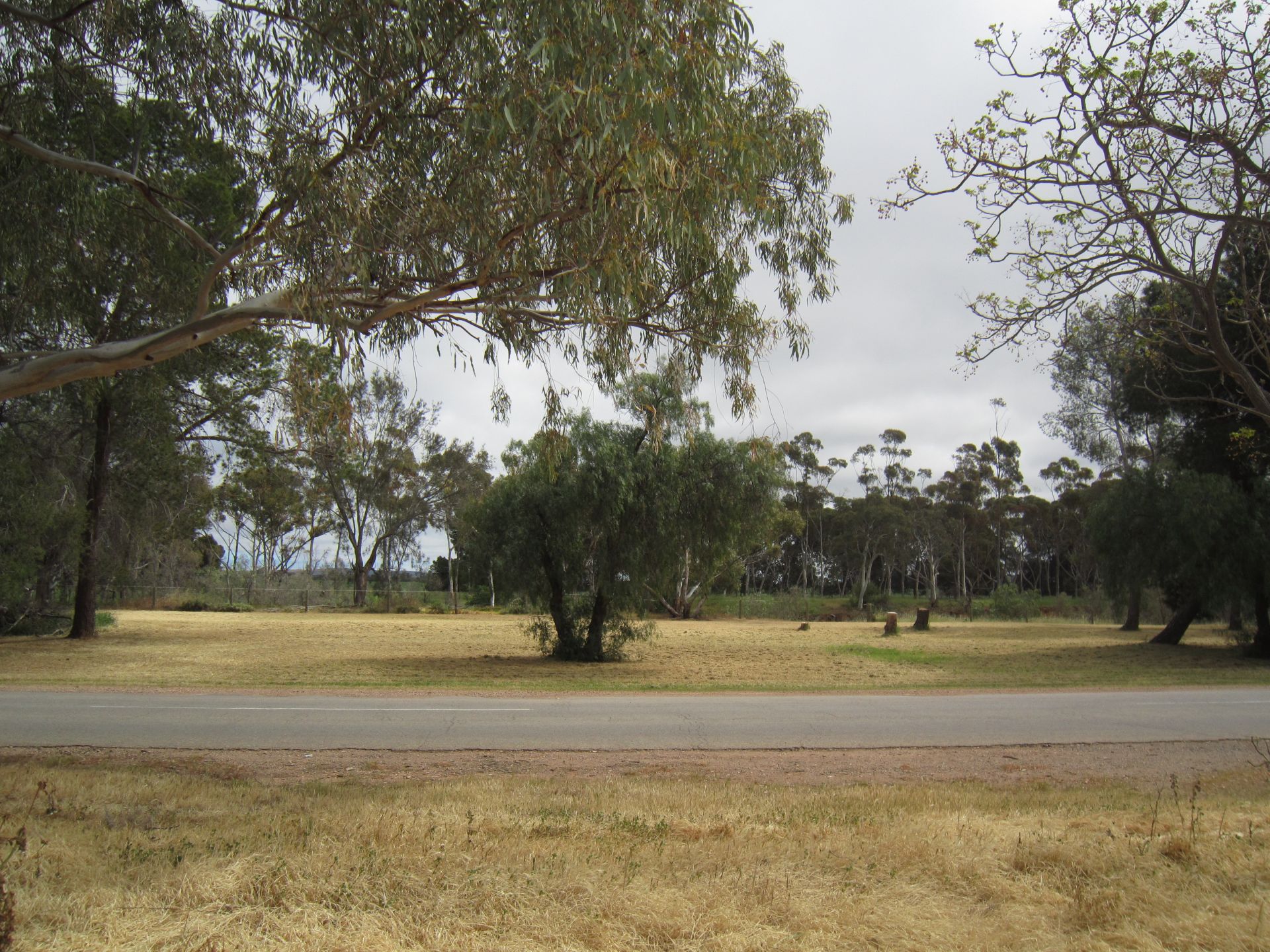 5/17 Moorhouse Street Redhill SA, Redhill - Thumbnail 6