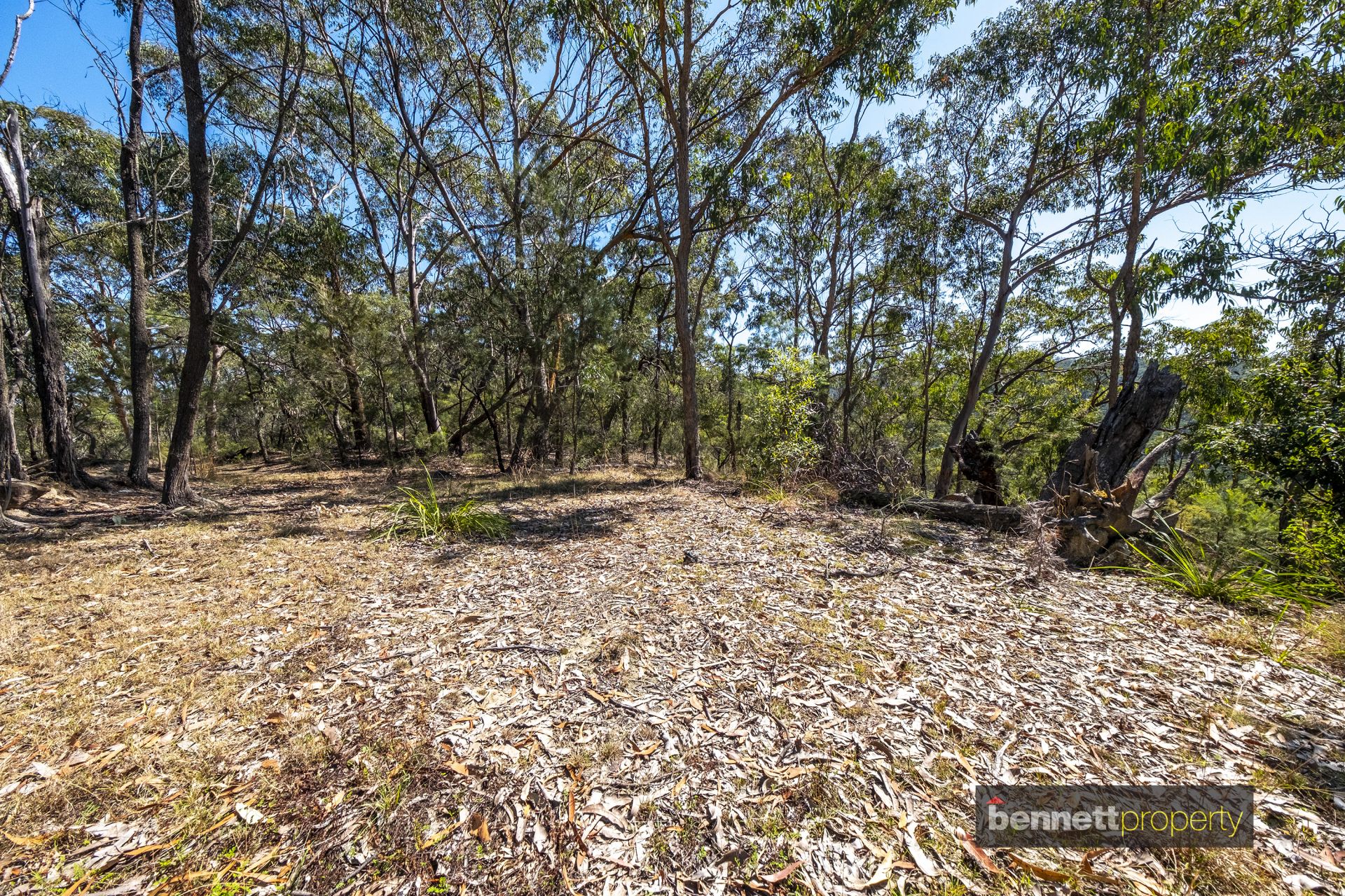 1493 Wheelbarrow Ridge Road, Lower Portland - Thumbnail 4