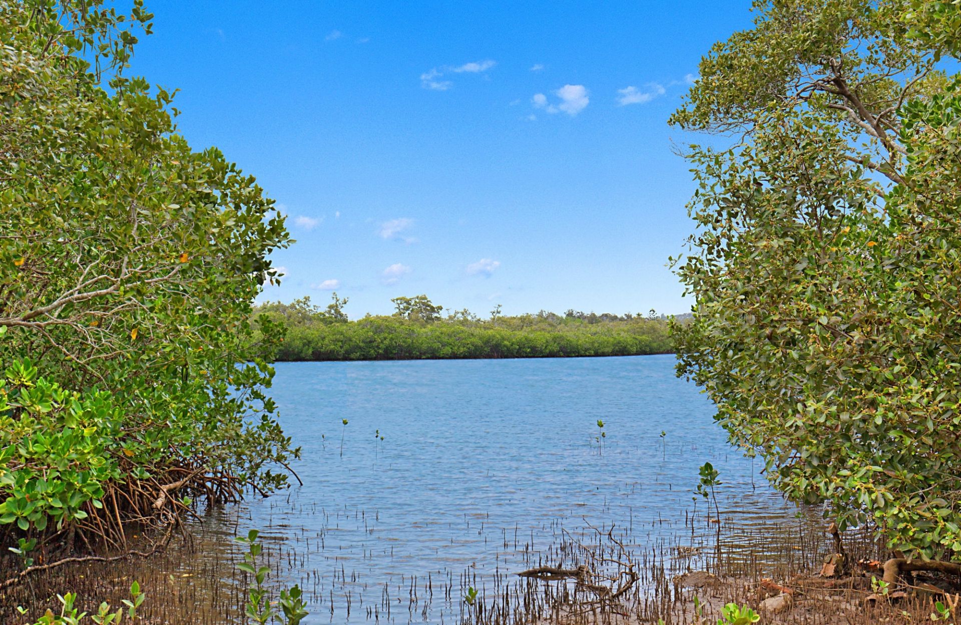 16/182-184 Kennedy Drive Tweed Heads West NSW, Tweed Heads West - Thumbnail 8