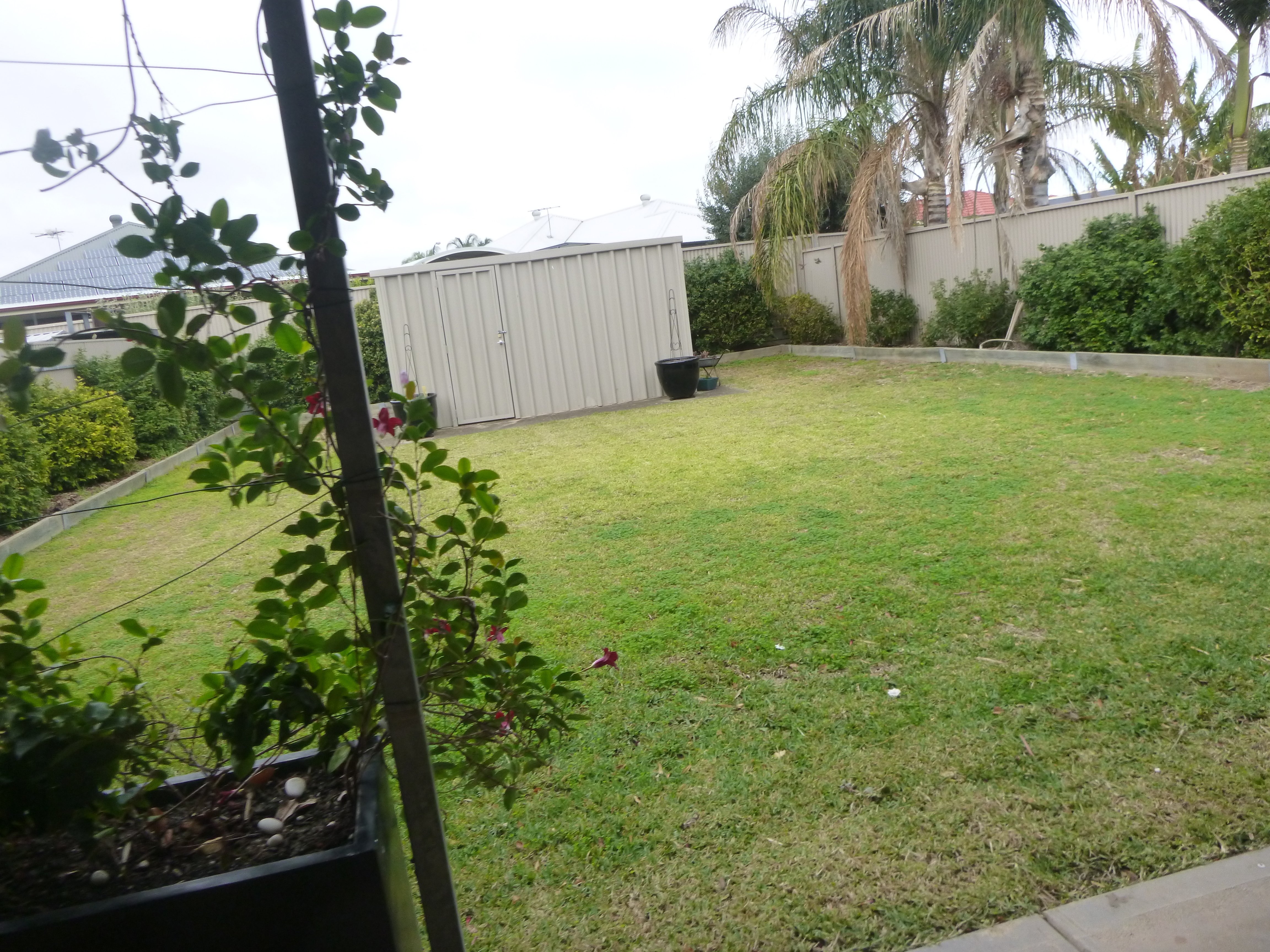 Real Estate For Lease 33 Balranald Street Ferryden Park , SA