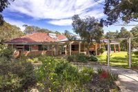 Leschenault