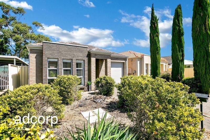 7 Abelia Avenue Flinders Park SA, Flinders Park - Thumbnail 2