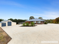 Wandong
