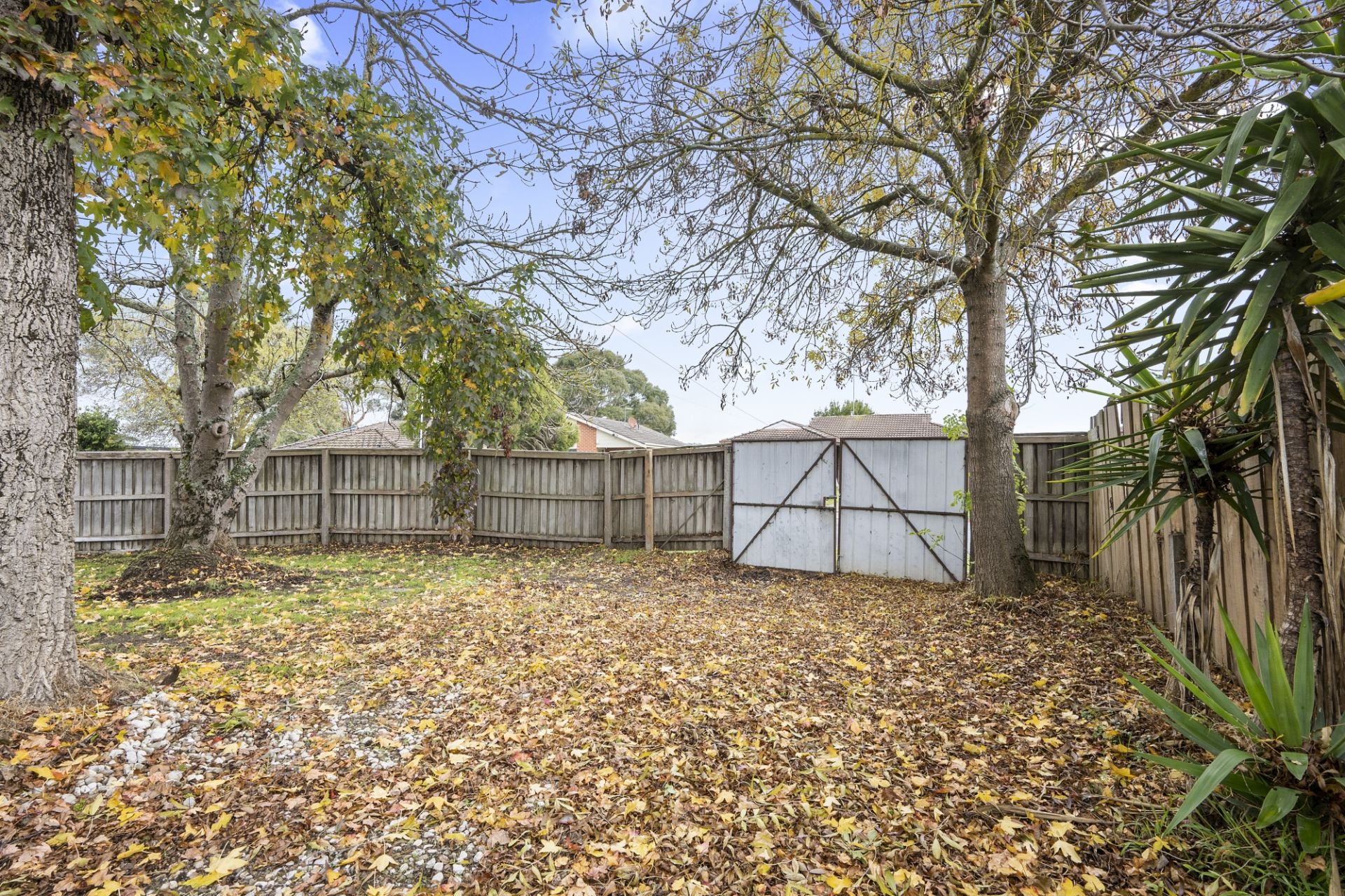 14 Lovenear Grove Ballarat East VIC, Ballarat East - Thumbnail 2
