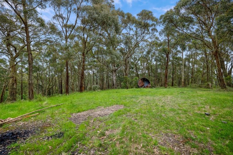 125 Marks Track, Deans Marsh, VIC, Deans Marsh - Thumbnail 3