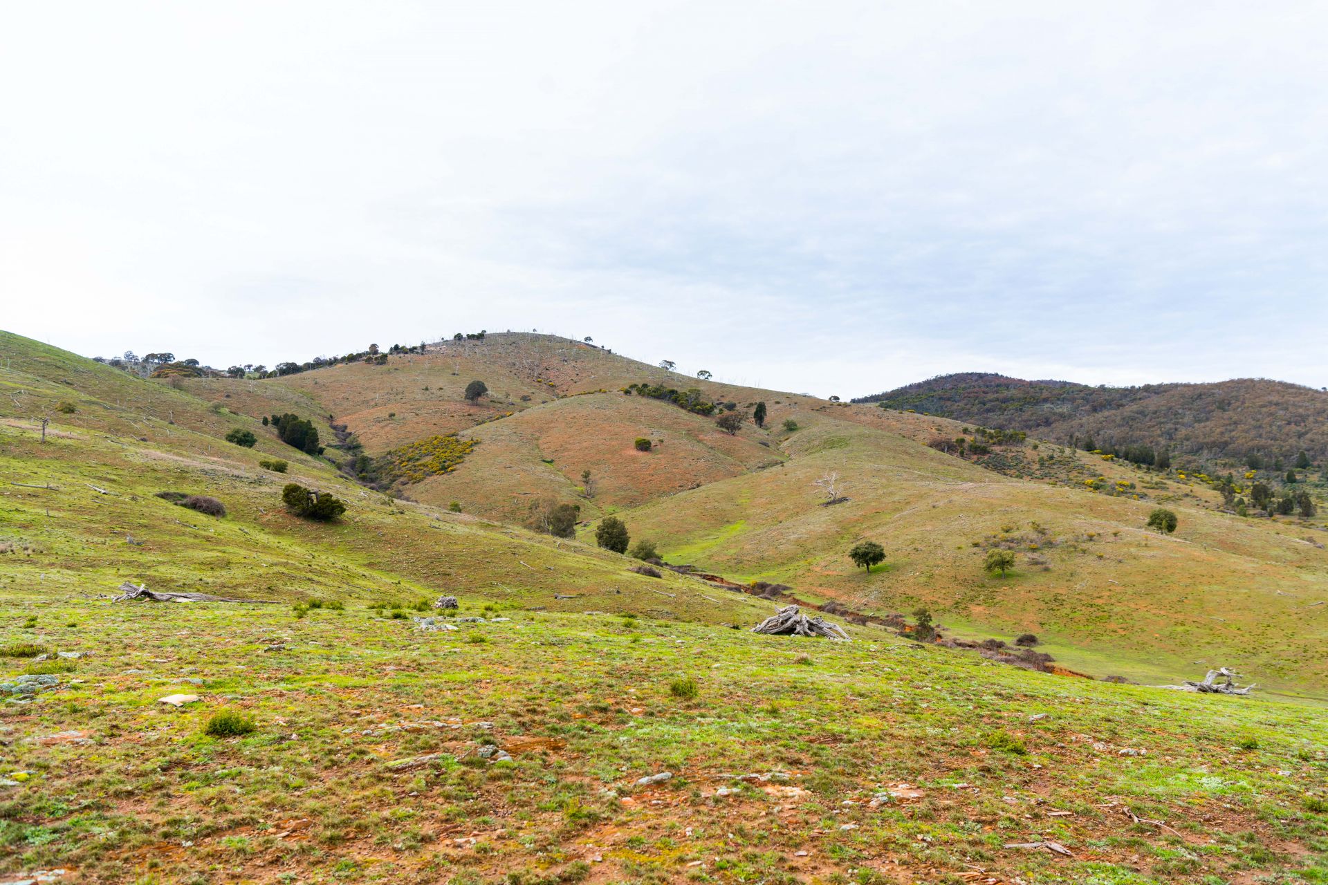 148 Mount Darling Road, Wyangala NSW, Wyangala - Thumbnail 8