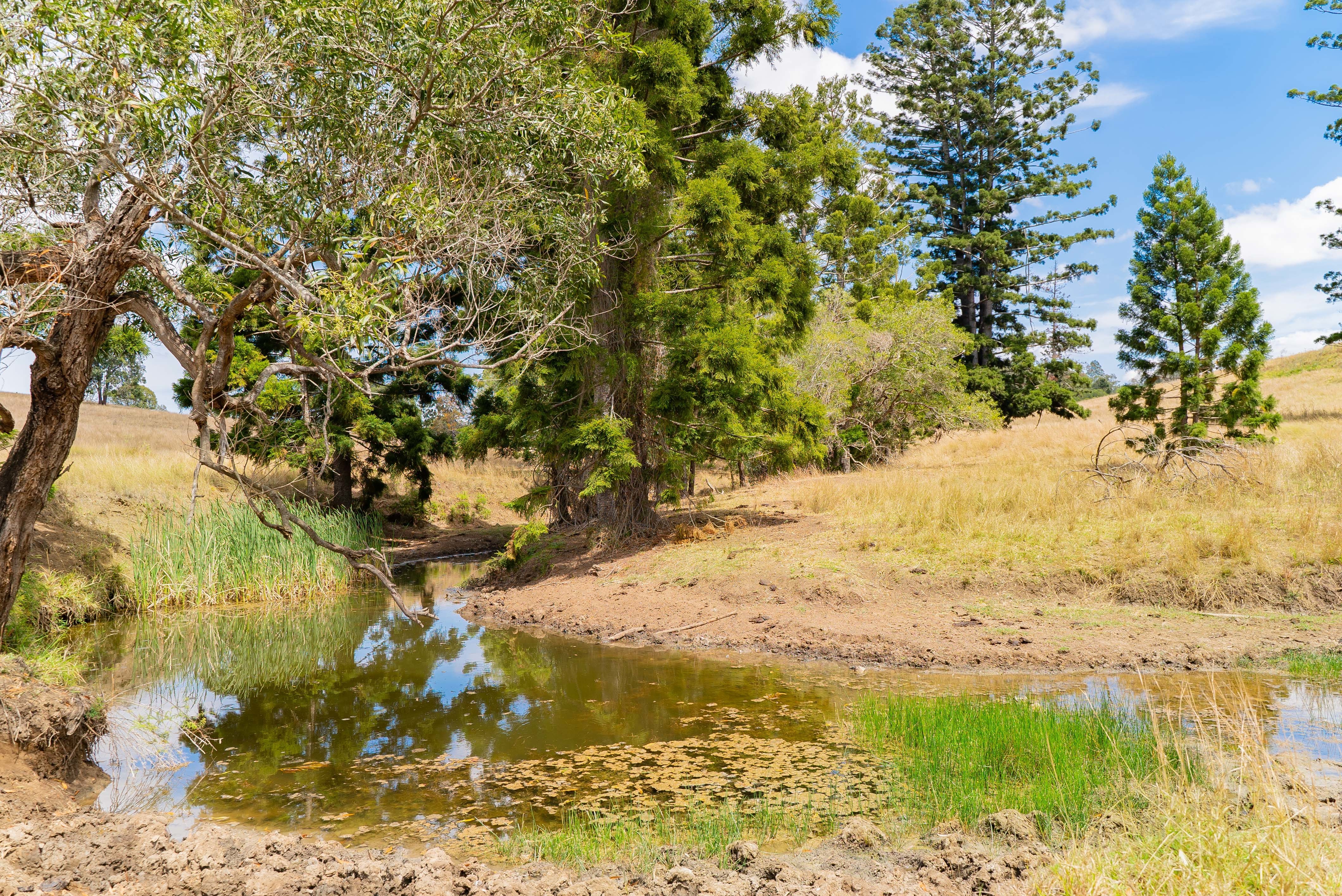 Real Estate For Sale 236 Birnam Range Road Beaudesert , QLD